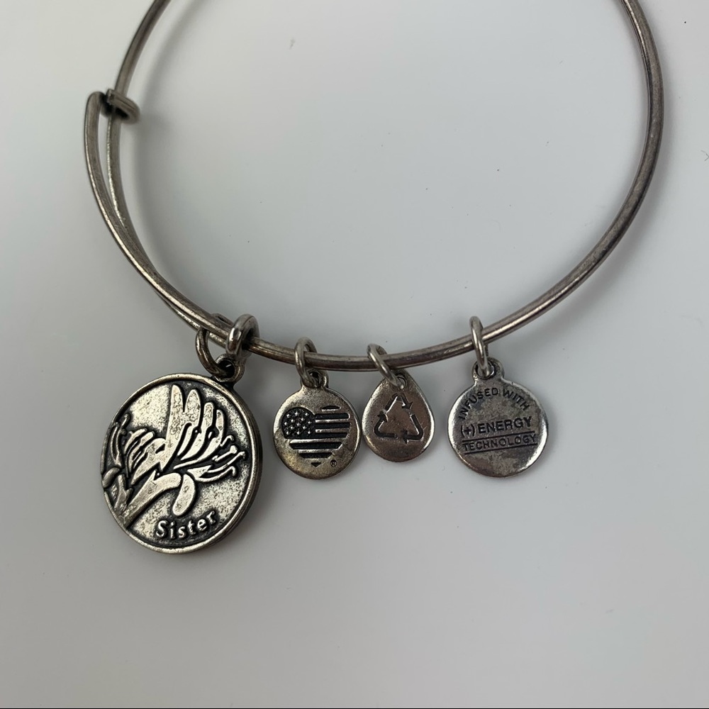 Alex and Ani Silver Bangle Sister Charm bracelet - Picture 7 of 14